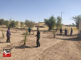 غرس ۱۷۰  نهال خرما در شوشتر به نام ویاد شهدا