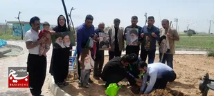 نسیم کرامت درلالی وزید؛پارک شهید اسکندرحاجی&zwnj;پور میزبان آیین کاشت نهال شد