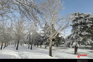 برف زمستانی چهره ملایر را سفیدپوش کرد