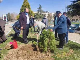 کاشت نهال با حضور فرماندار در دانشگاه آزاد اسلامی پیشوا