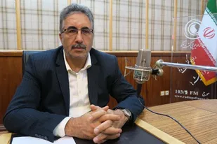 انبارها مملو از مرغ منجمد