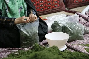 بسترسازی مجازی در تقویت اشتغال&zwnj;زایی و طرح اقتصاد مقاومتی
