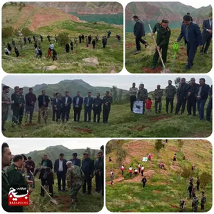 برگزاری پویش کاشت نهال و درختکاری در لالی