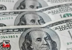قیمت روز ارزهای مبادله&zwnj;ای/ دلار ثابت ماند