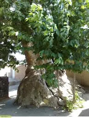 تبدیل چشمه تلخاب معدنی سرخه به یک مرکز گردشگری