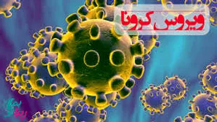 مورد مثبتی از کرونا ویروس در ملایر مشاهده نشده است
