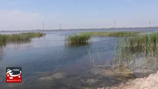 جریان آب در ورودی&zwnj;های تالاب هورالعظیم برقرار شد