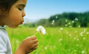 110 یتیم و فرزند محسنین به آرزوی خود رسیدند