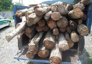 کشف ۱۰ تن چوب قاچاق در شهرستان دهگلان