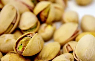 برداشت بیش از ۳۳ هزار تُن پسته خشک از باغ&zwnj;های استان سمنان