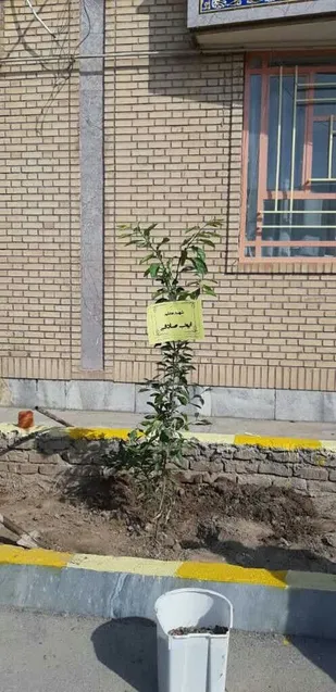 کاشت گل یا نهال به نام شهدای دانش آموز در محوطه مدارس گرمسار+تصاویر