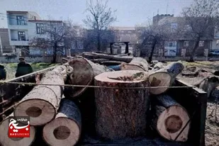سه تن چوب&zwnj; جنگلی قاچاق در پارس آباد کشف شد
