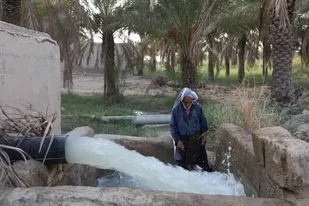 آب به نخلستان&zwnj;های شادگان رسید
