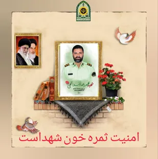 پیام تسلیت رئیس عقیدتی سیاسی فرماندهی انتظامی خراسان جنوبی در پی شهادت "سرهنگ محمدرضا اسدالهی"