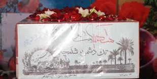 شهرستان دارالشجاعه بافق بار دیگر میزبان دو لاله خوشنام شد
