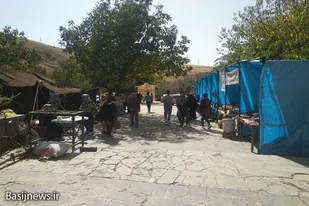 جشنواره آلو به میزبانی ملحمدره به مدت ۲ روز برگزار شد