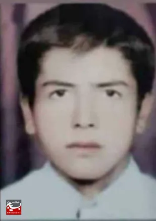 نگاهی کوتاه به زندگی نامه شهید شهباز پستا از روستای تنگ چویل شهرستان صیدون