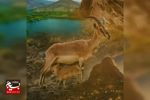 &laquo;شارود&raquo; روایتی تازه از فرهنگ و تاریخ الموت در قاب سیمای قزوین