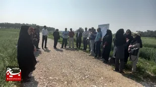 سه مزرعه نوآور بهره&zwnj;ور در استان بوشهر رونمایی شد