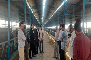 بازدید  از شرکت دیمه؛ بررسی مشکلات راه دسترسی