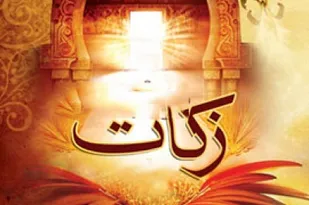 رشد 47 درصدی پرداخت زکات در آذربایجان شرقی در سال 98