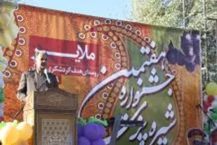 تولید ۲۴۵ هزار تن انگور در ملایر
