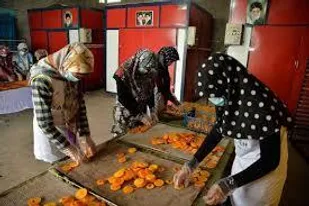 توانمندسازی ۱۱ هزار و ۱۴۳ مددجو کمیته امداد در لرستان