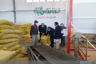 کار آفرین برتر خاشی ۴٠ نفر را مشغول بکار کرده است