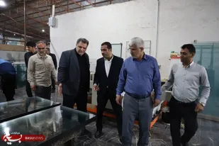 بازدید معاون هماهنگی امور اقتصادی استانداری به همراه رئیس سازمان بسیج سازندگی سپاه نینوا از طرح های اقتصادمقاومتی استان