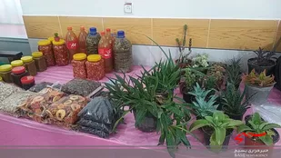 برپایی بازارچه اقتصاد مقاومتی در شاهرود+ تصاویر