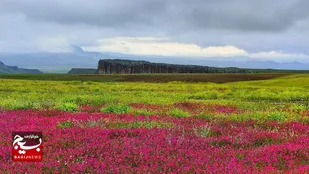 داروخانه&zwnj;ای در آغوشِ سبلان