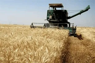 جمع آوری بیش از ۱۵ میلیارد تومان زکات در استان قزوین