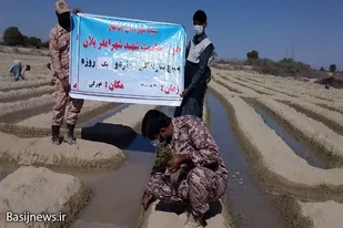 اردوی جهادی یکروزه گروه جهادی شهید احمدعلی سیاسر چابهار