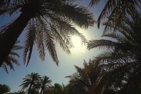 نماهنگ «همدرد خوزستان»
