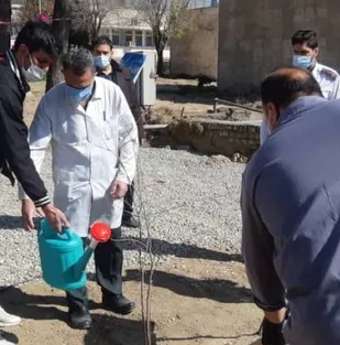 غرس 200 اصله نهال در بیمارستان شهدای هفتم تیر