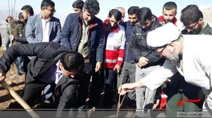 نهضت درختکاری در شهر اردل