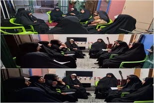 &laquo;از کتابخوانی تا فعالیت&zwnj;های فرهنگی&raquo;؛ برنامه&zwnj;های متنوع بانوان بسیجی در سرخه